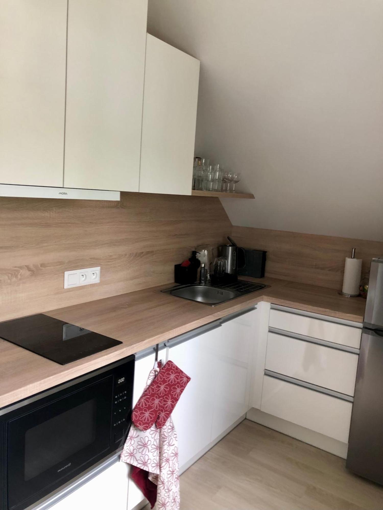 Apartman Krusne Hory - Erzgebirge Горни-Блатна Экстерьер фото