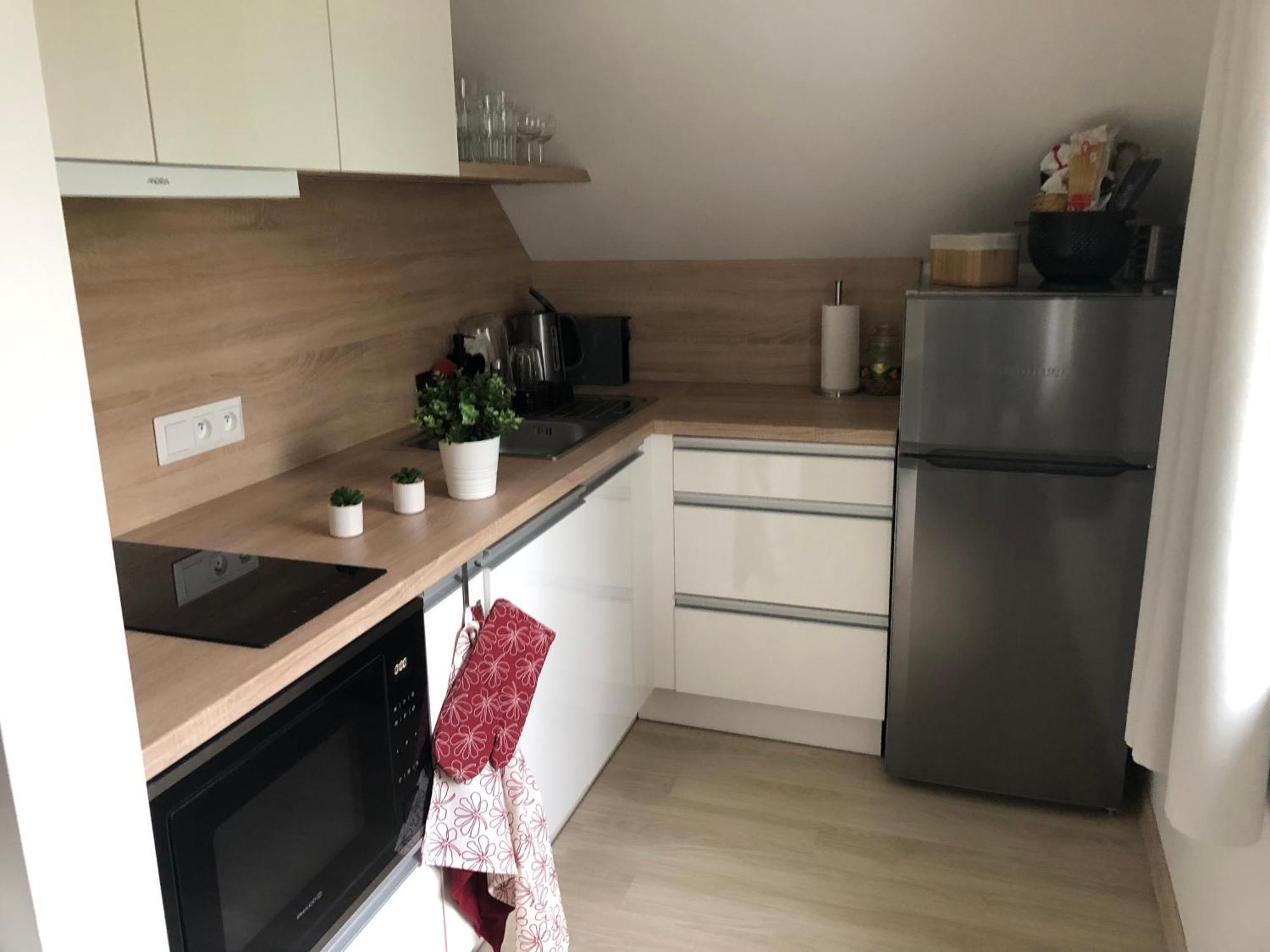 Apartman Krusne Hory - Erzgebirge Горни-Блатна Экстерьер фото